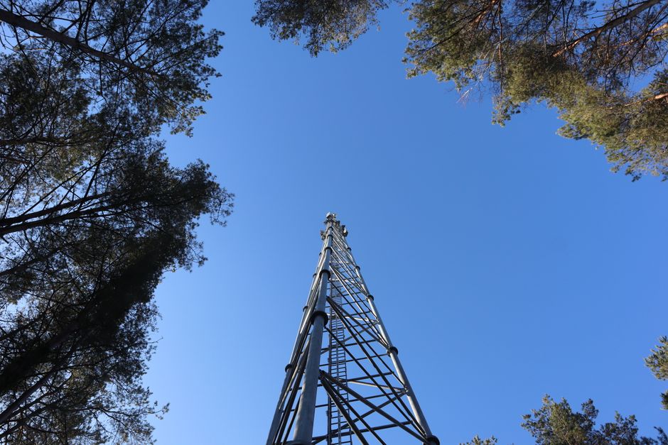 Enable 5G on Your Phone: Easy App Guide