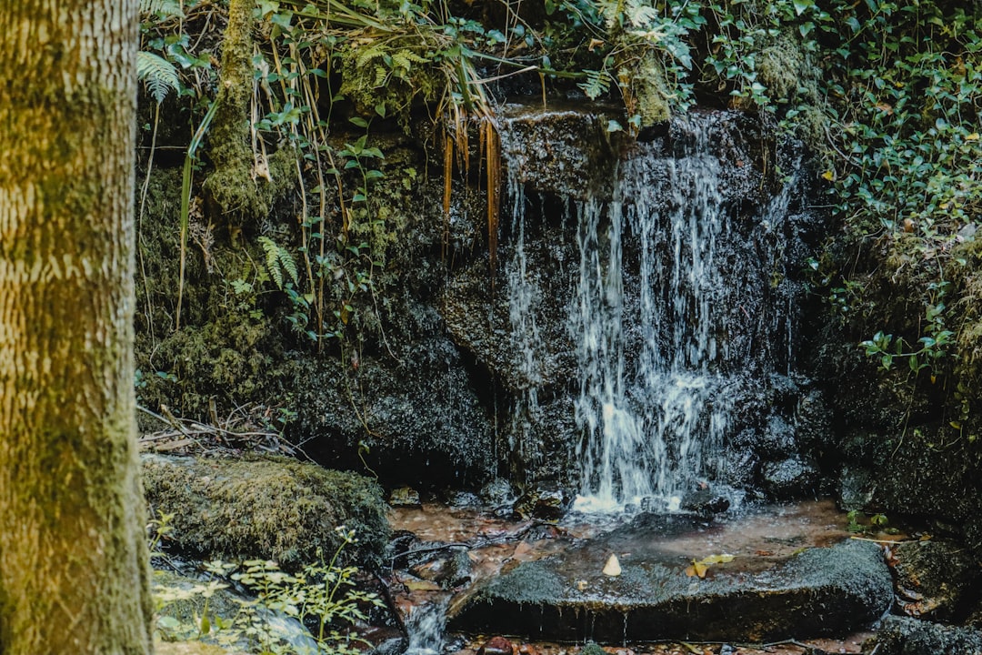 Learn About Waterfalls Online: Guide to Virtual Exploration