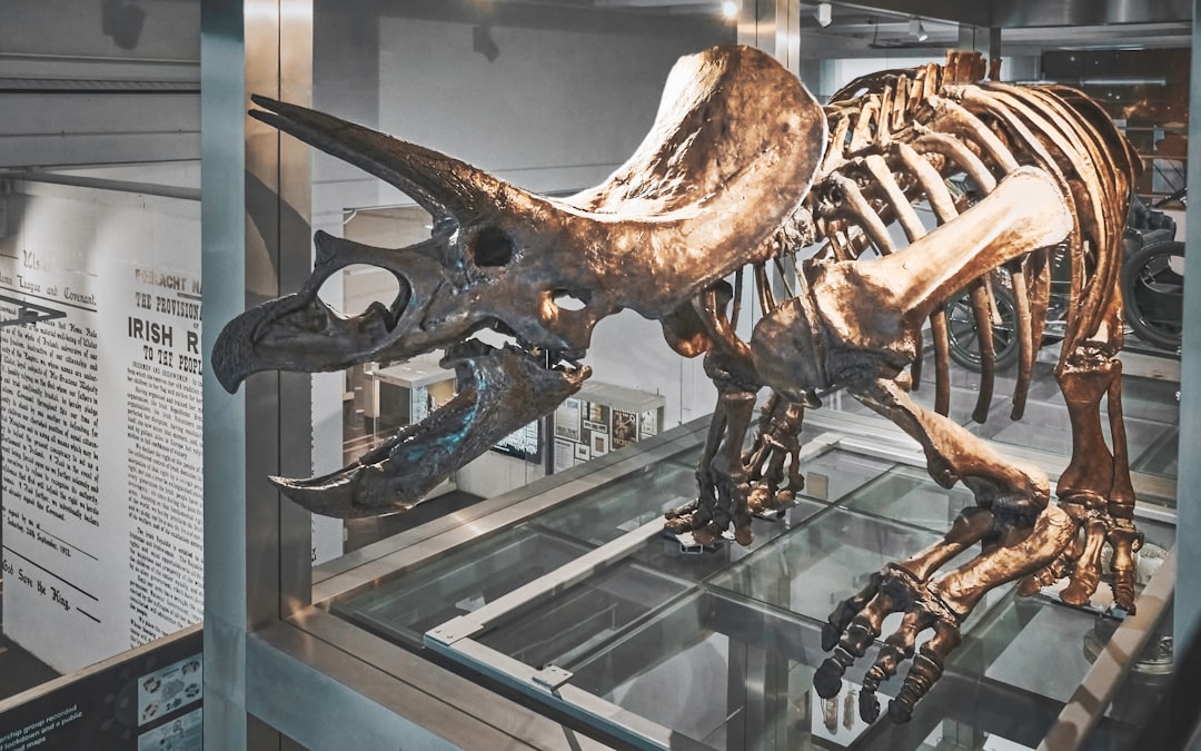 Learn Everything About Dinosaurs Online: Complete Guide