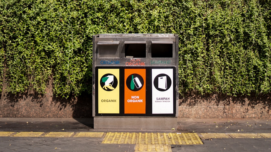 Learn Recycling Online: Practical Guide to Reduce Waste