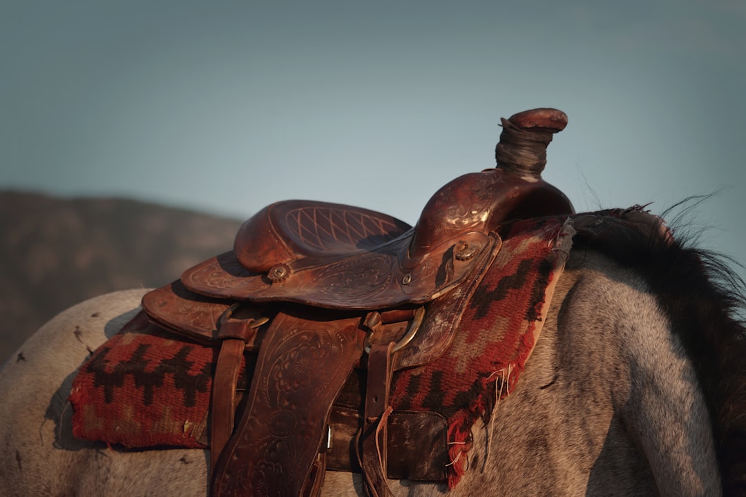 Learn About Horses Online: Comprehensive Courses and Resources